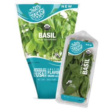 SG Basil Product