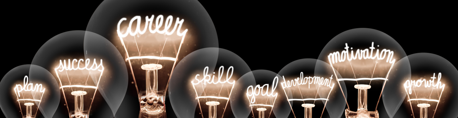Series of lightbulbs of varying sizes that include the words plan, success, career, skill, goal, development, motivation, and growth.
