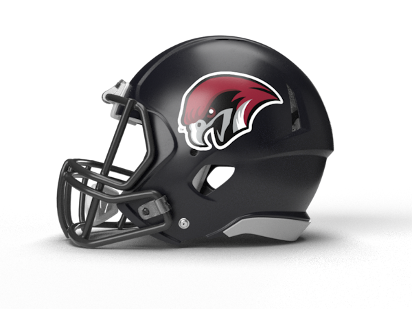 Football helmet with the Roanoke College mascot on it.