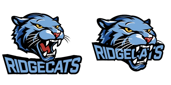 Graphics of the CVCC mascot