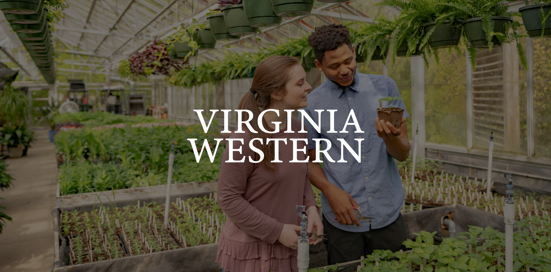 Two people standing in a greenhouse looking at a potted plant