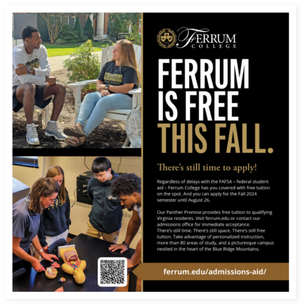 Ferrum sample banner 1