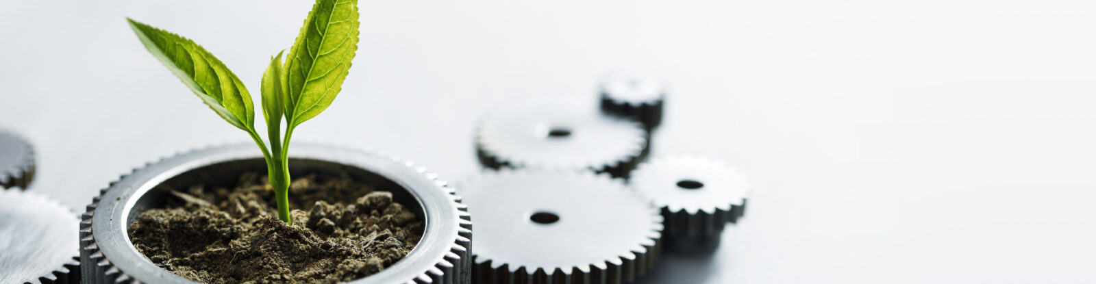 Growing as a team, a plant is growing out a wheel, with several additional wheels attached.