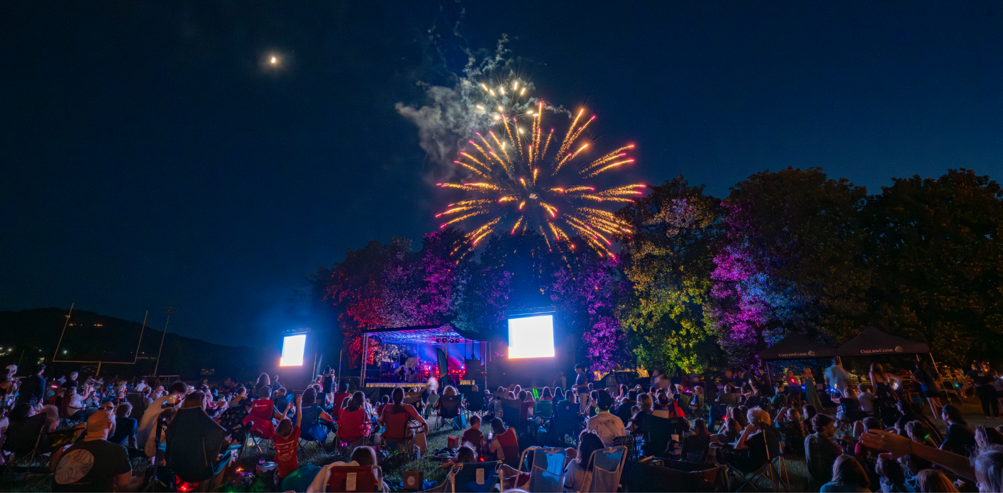A fireworks display at night with a crowd watching.
